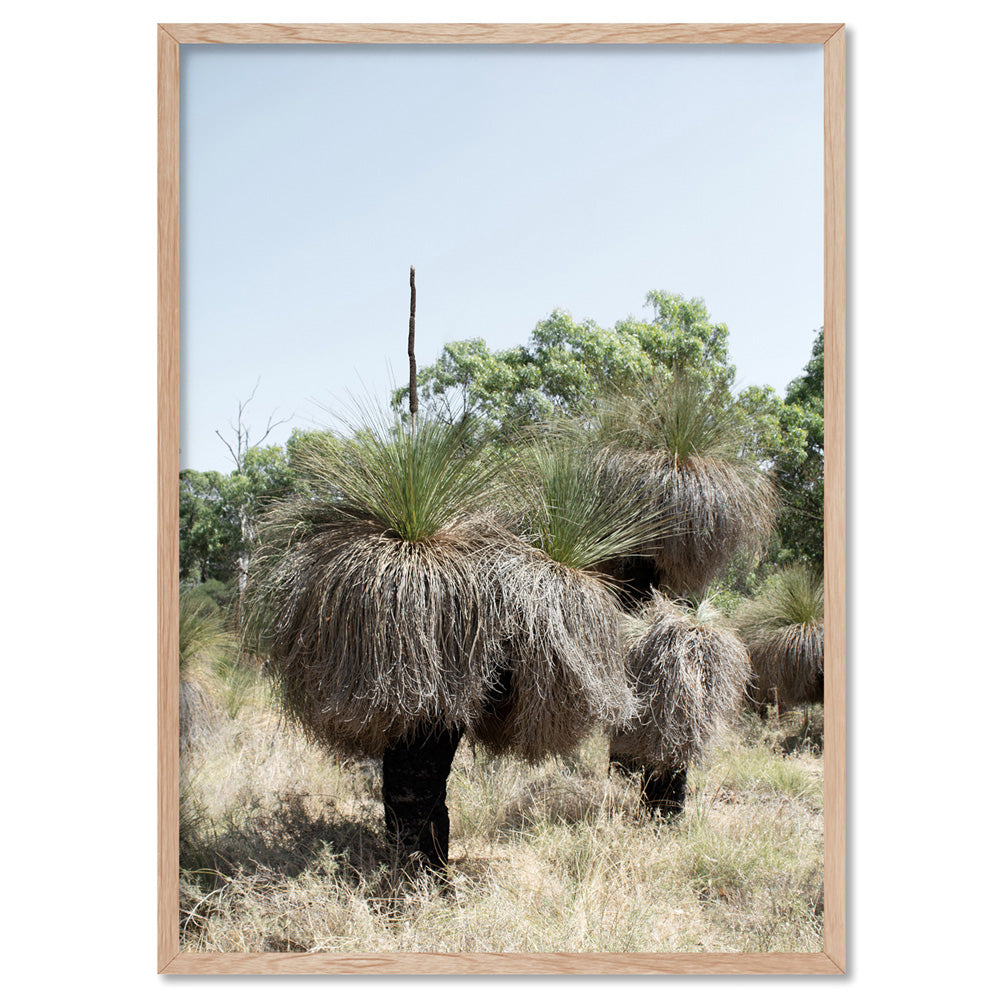 Australian Bush Grass Trees II - Art Print, Poster, Stretched Canvas, or Framed Wall Art Print, shown in a natural timber frame