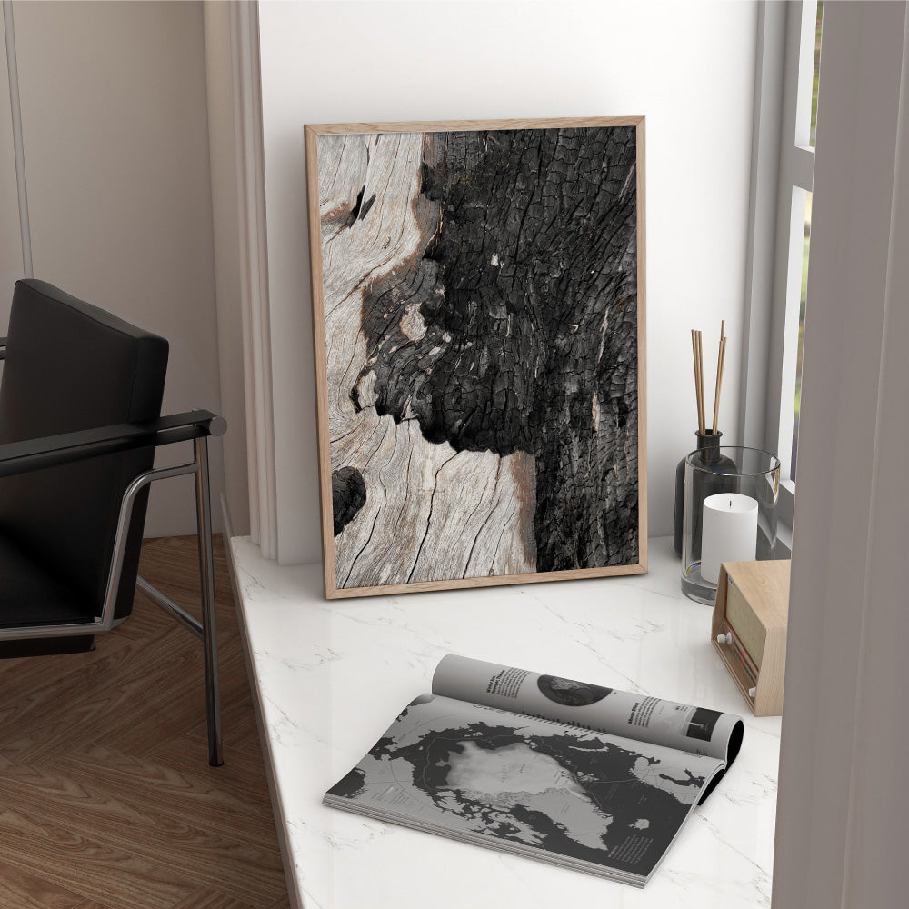 Gumtree | Charred Eucalypt II - Art Print, Poster, Stretched Canvas or Framed Wall Art Prints, shown framed in a room