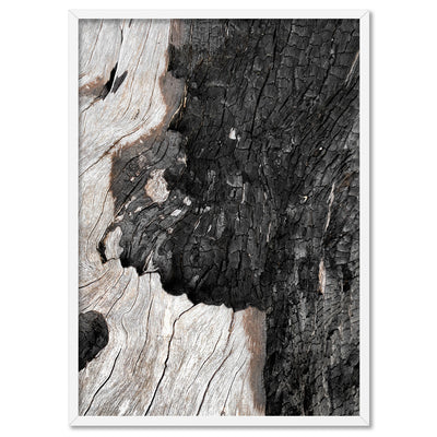 Gumtree | Charred Eucalypt II - Art Print, Poster, Stretched Canvas, or Framed Wall Art Print, shown in a white frame