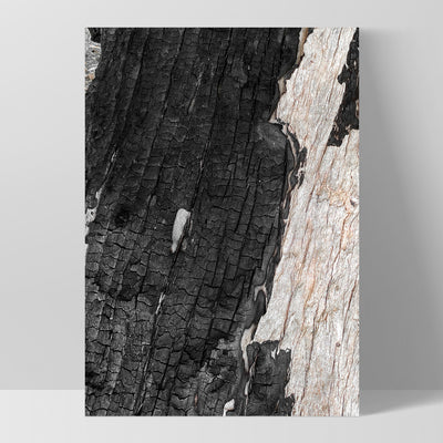 Gumtree | Charred Eucalypt III - Art Print, Poster, Stretched Canvas, or Framed Wall Art Print, shown as a stretched canvas or poster without a frame