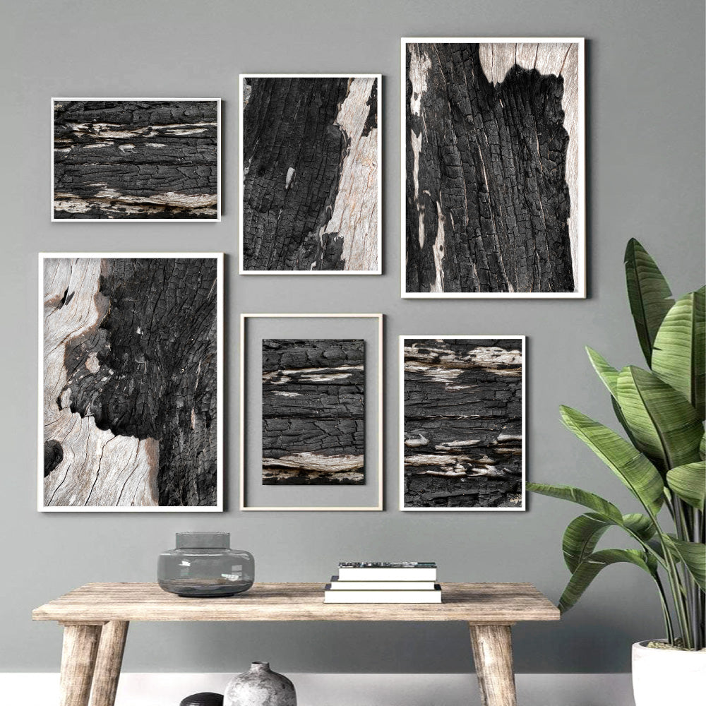 Gumtree | Charred Eucalypt III - Art Print, Poster, Stretched Canvas or Framed Wall Art, shown framed in a home interior space