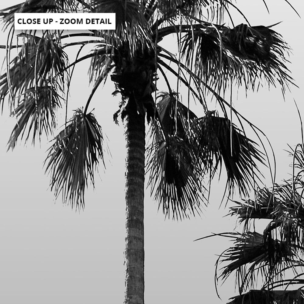 California Tropical Palms Black & White - Art Print, Poster, Stretched Canvas or Framed Wall Art, shown framed in a home interior space