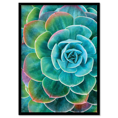 Succulent with Rainbow Tips - Art Print, Poster, Stretched Canvas, or Framed Wall Art Print, shown in a black frame