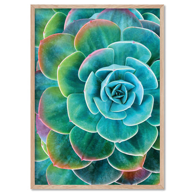 Succulent with Rainbow Tips - Art Print, Poster, Stretched Canvas, or Framed Wall Art Print, shown in a natural timber frame
