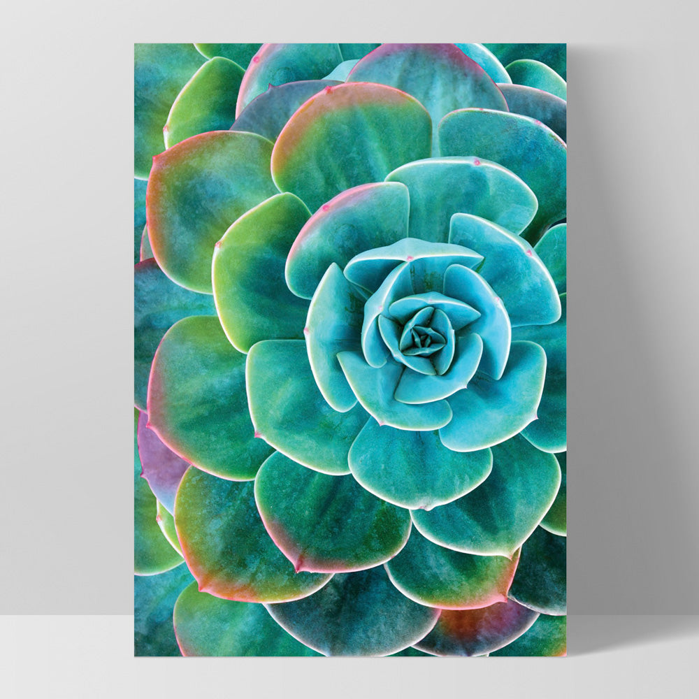 Succulent with Rainbow Tips - Art Print, Poster, Stretched Canvas, or Framed Wall Art Print, shown as a stretched canvas or poster without a frame