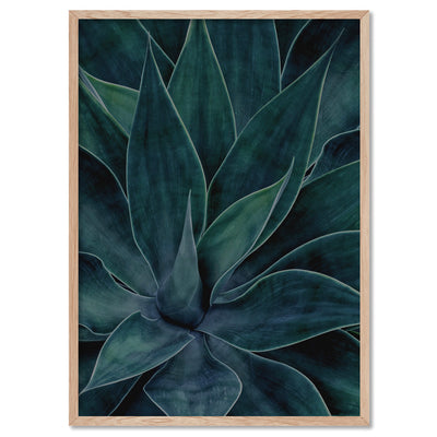 Dark Agave - Art Print, Poster, Stretched Canvas, or Framed Wall Art Print, shown in a natural timber frame