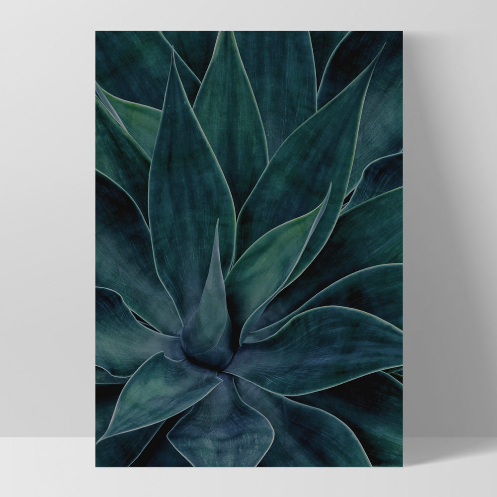 Dark Agave - Art Print, Poster, Stretched Canvas, or Framed Wall Art Print, shown as a stretched canvas or poster without a frame
