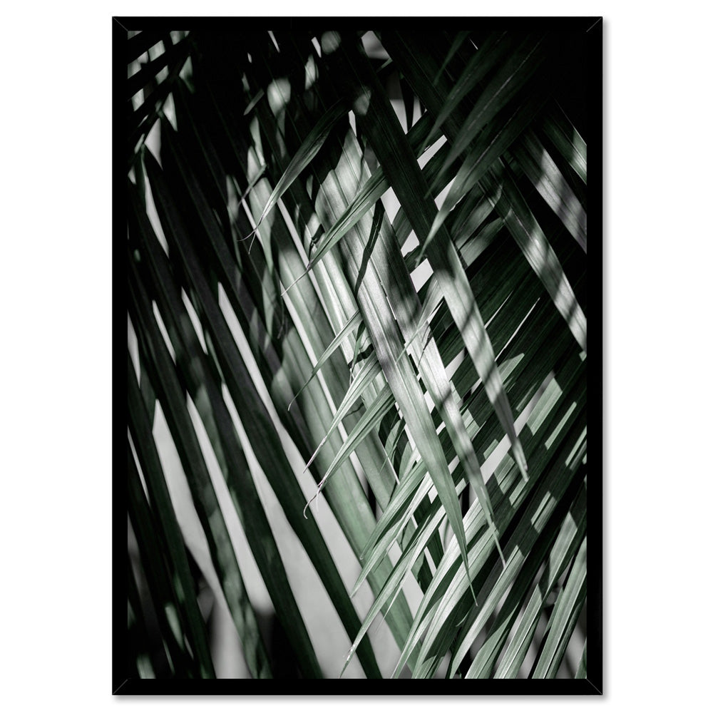 Palm fronds shadow & light - Art Print, Poster, Stretched Canvas, or Framed Wall Art Print, shown in a black frame