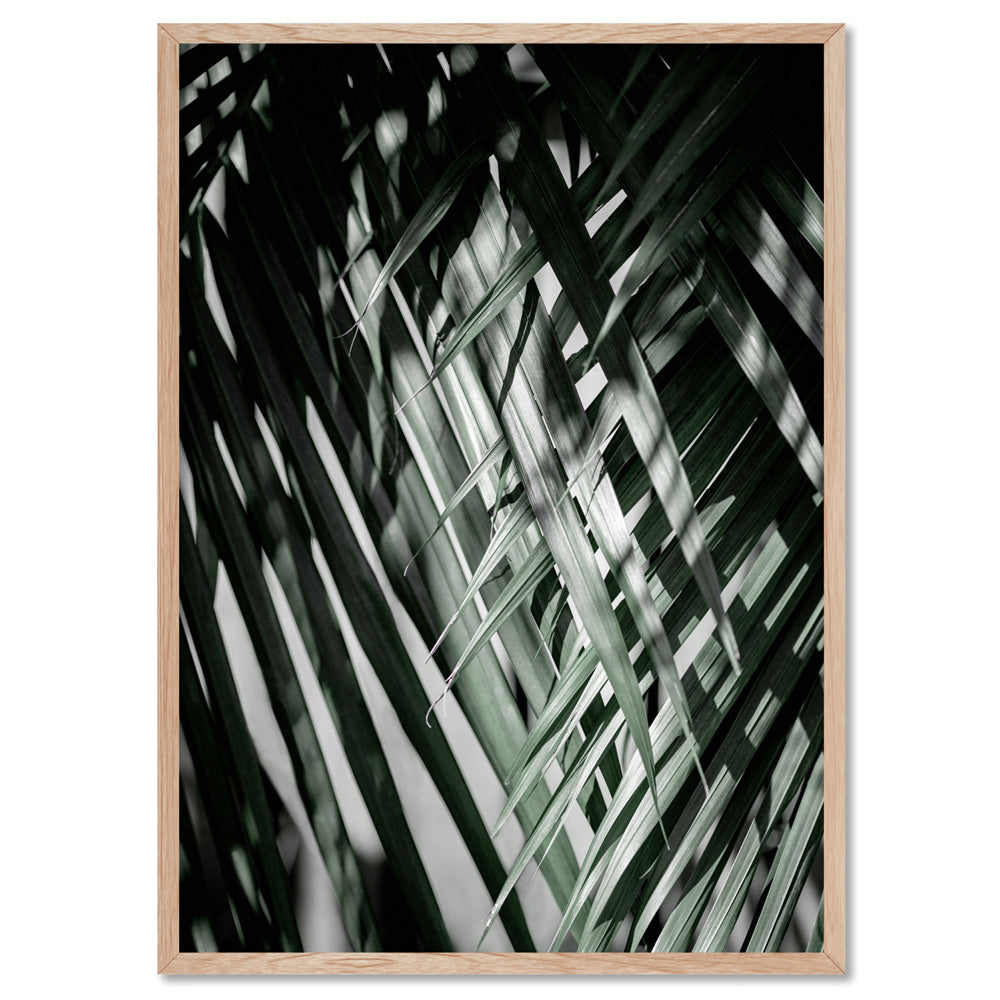 Palm fronds shadow & light - Art Print, Poster, Stretched Canvas, or Framed Wall Art Print, shown in a natural timber frame