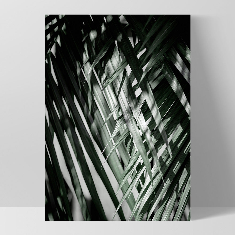 Palm fronds shadow & light - Art Print, Poster, Stretched Canvas, or Framed Wall Art Print, shown as a stretched canvas or poster without a frame