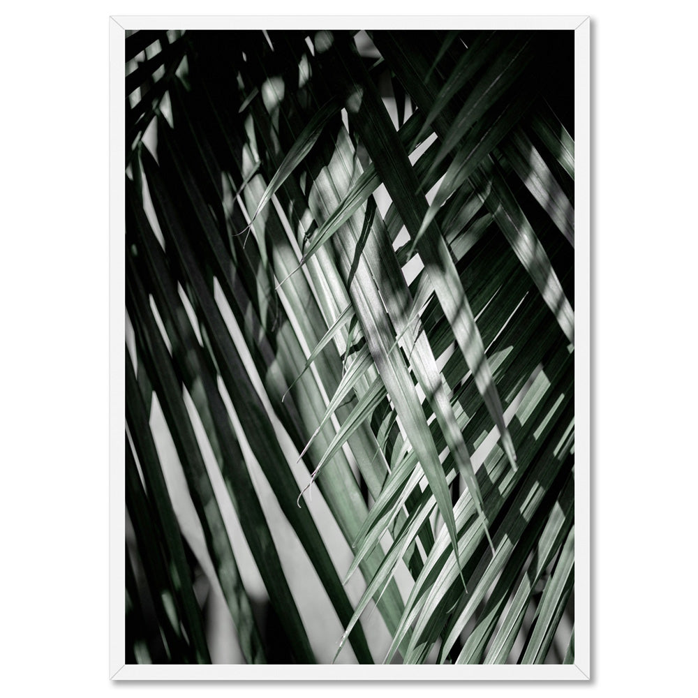 Palm fronds shadow & light - Art Print, Poster, Stretched Canvas, or Framed Wall Art Print, shown in a white frame