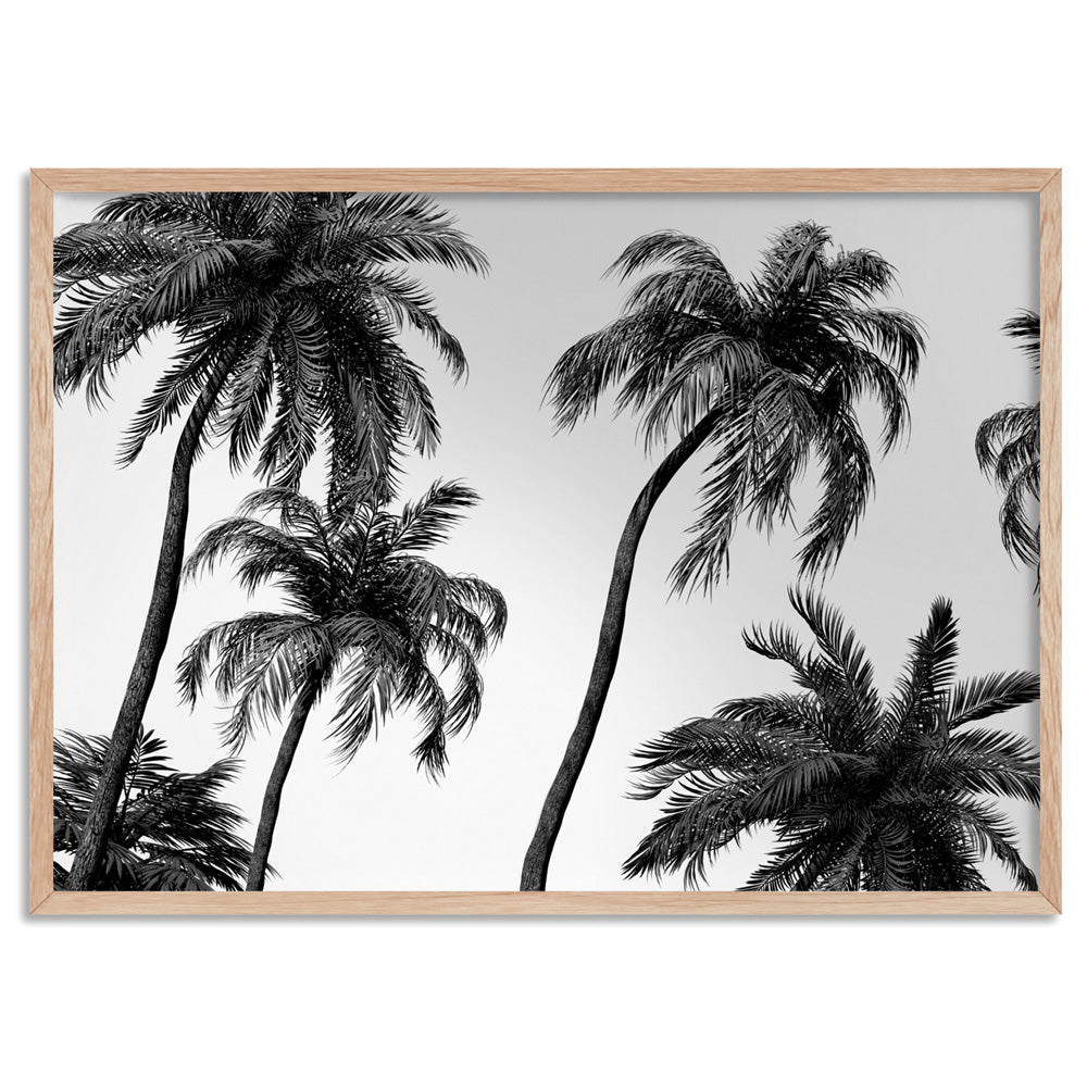 Palms in the Wind Monochrome - Art Print, Poster, Stretched Canvas, or Framed Wall Art Print, shown in a natural timber frame