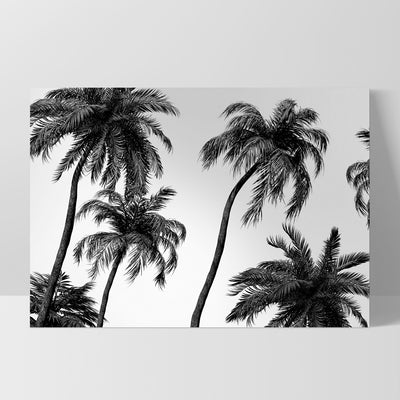 Palms in the Wind Monochrome - Art Print, Poster, Stretched Canvas, or Framed Wall Art Print, shown as a stretched canvas or poster without a frame