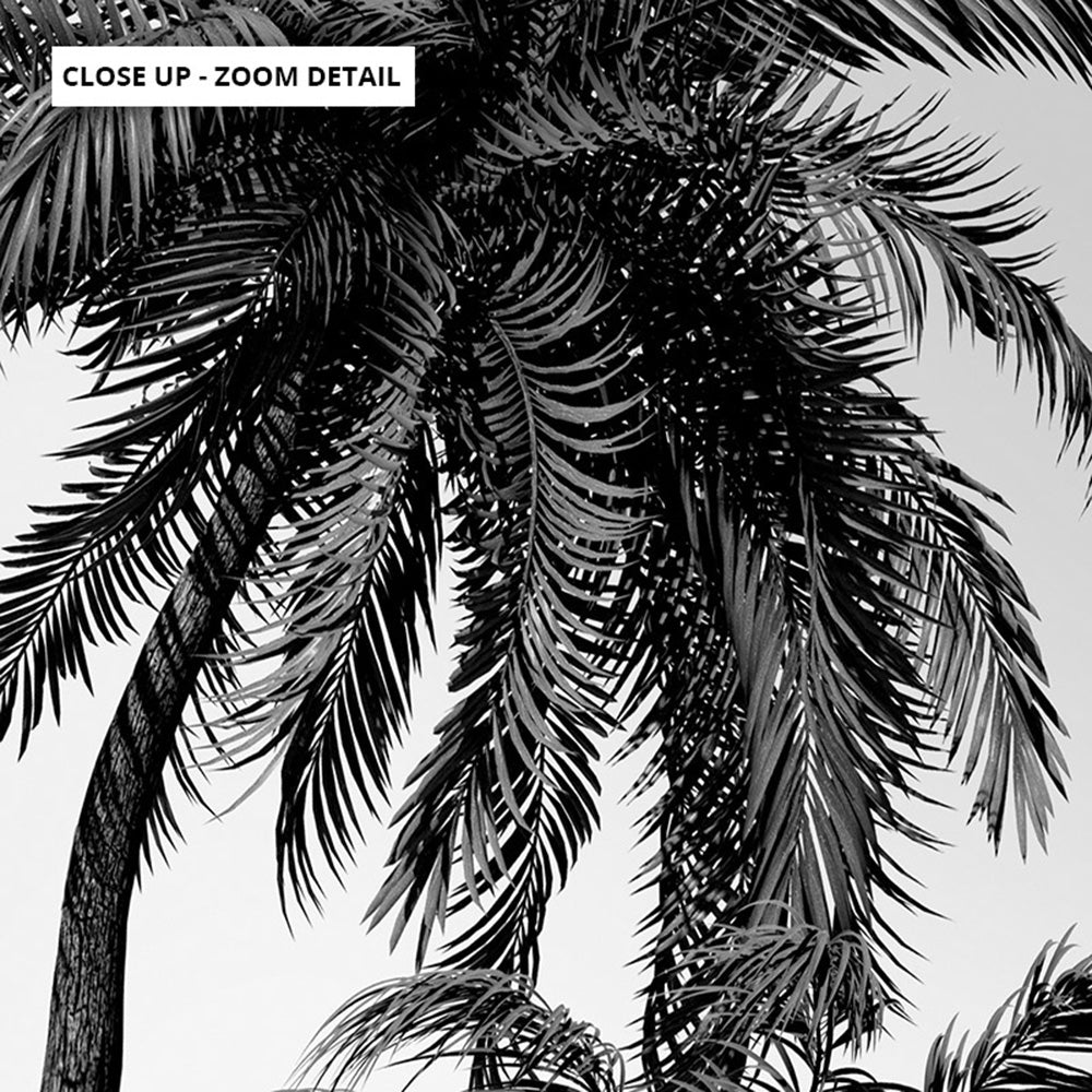 Palms in the Wind Monochrome - Art Print, Poster, Stretched Canvas or Framed Wall Art, Close up View of Print Resolution