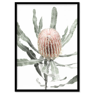 Banksia Pastels I - Art Print, Poster, Stretched Canvas, or Framed Wall Art Print, shown in a black frame