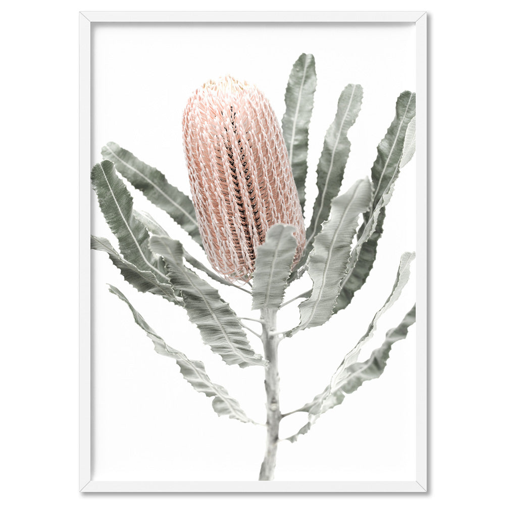 Banksia Pastels II - Art Print, Poster, Stretched Canvas, or Framed Wall Art Print, shown in a white frame