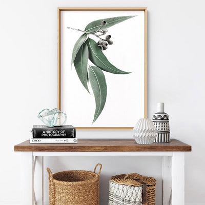 Eucalyptus Leaves & Gumnuts I - Art Print, Poster, Stretched Canvas or Framed Wall Art Prints, shown framed in a room