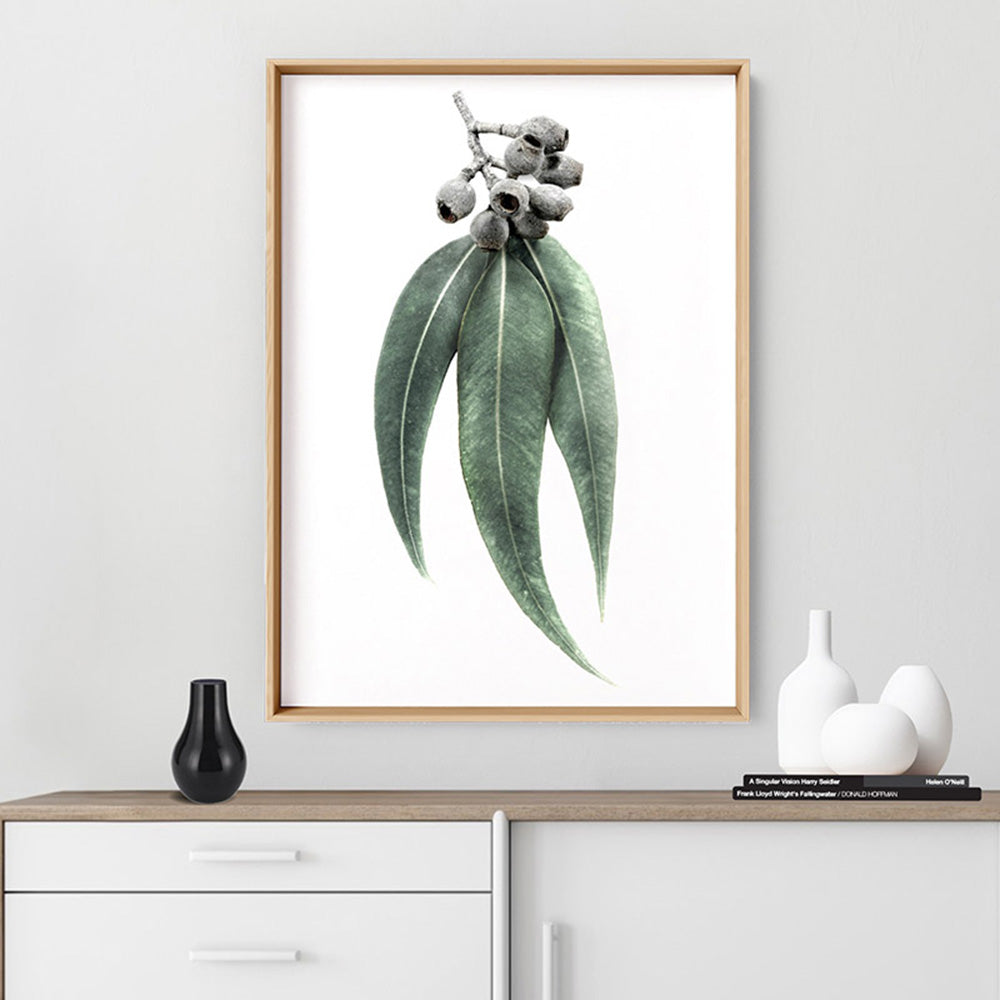 Eucalyptus Leaves & Gumnuts II - Art Print, Poster, Stretched Canvas or Framed Wall Art Prints, shown framed in a room