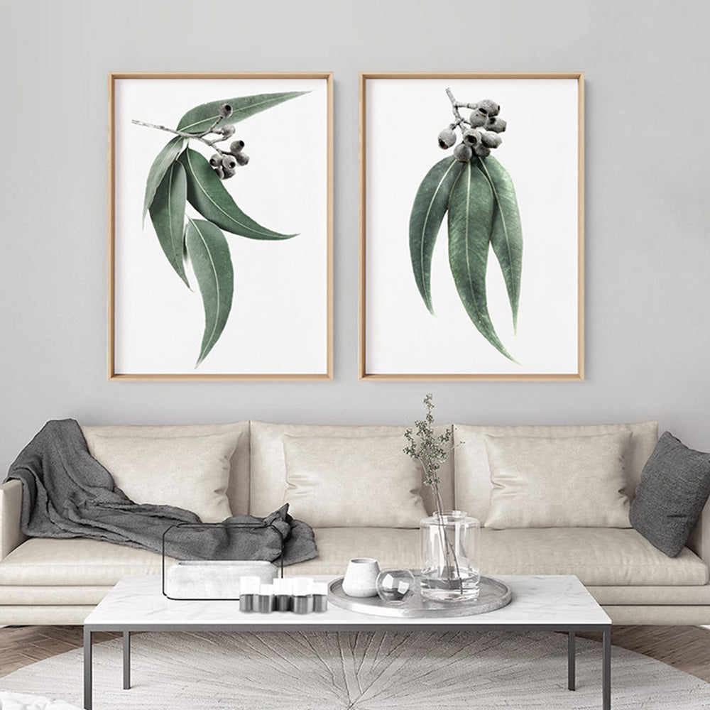 Eucalyptus Leaves & Gumnuts II - Art Print, Poster, Stretched Canvas or Framed Wall Art, shown framed in a home interior space