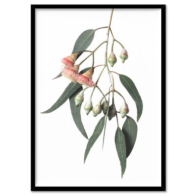 Flowering Eucalyptus in Soft Red - Art Print, Poster, Stretched Canvas, or Framed Wall Art Print, shown in a black frame