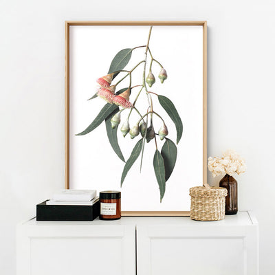 Flowering Eucalyptus in Soft Red - Art Print, Poster, Stretched Canvas or Framed Wall Art Prints, shown framed in a room