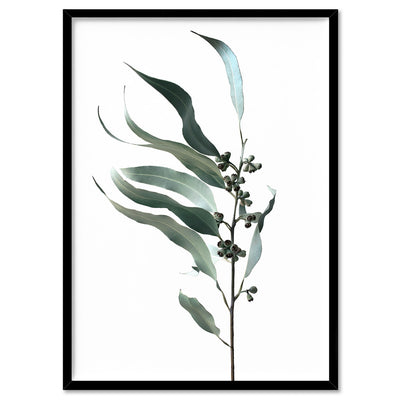 Dried Eucalyptus Leaves I - Art Print, Poster, Stretched Canvas, or Framed Wall Art Print, shown in a black frame