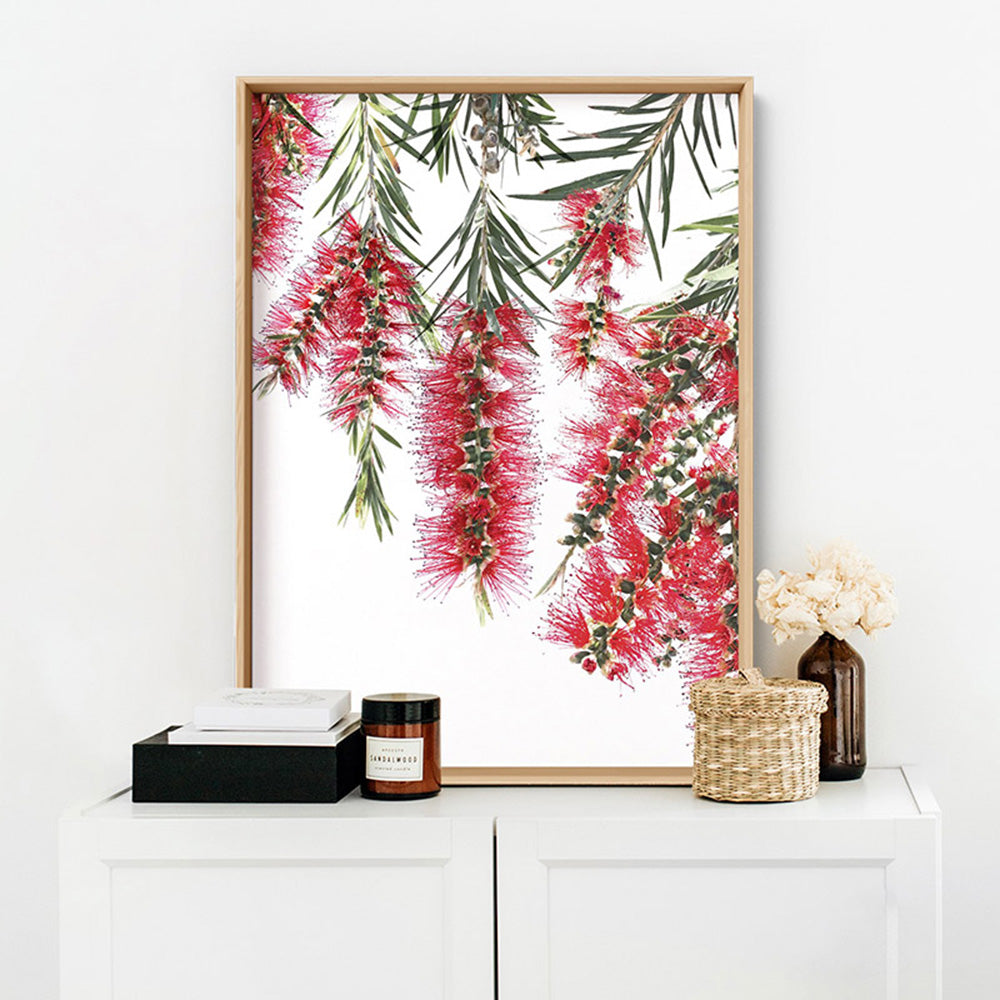 Bottle Brush Flowers I - Art Print, Poster, Stretched Canvas or Framed Wall Art Prints, shown framed in a room