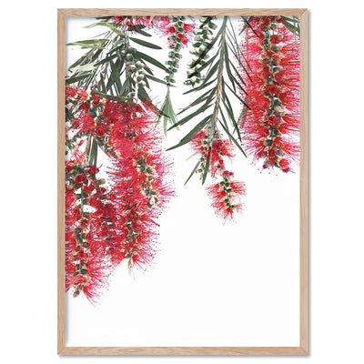 Bottle Brush Flowers II - Art Print, Poster, Stretched Canvas, or Framed Wall Art Print, shown in a natural timber frame