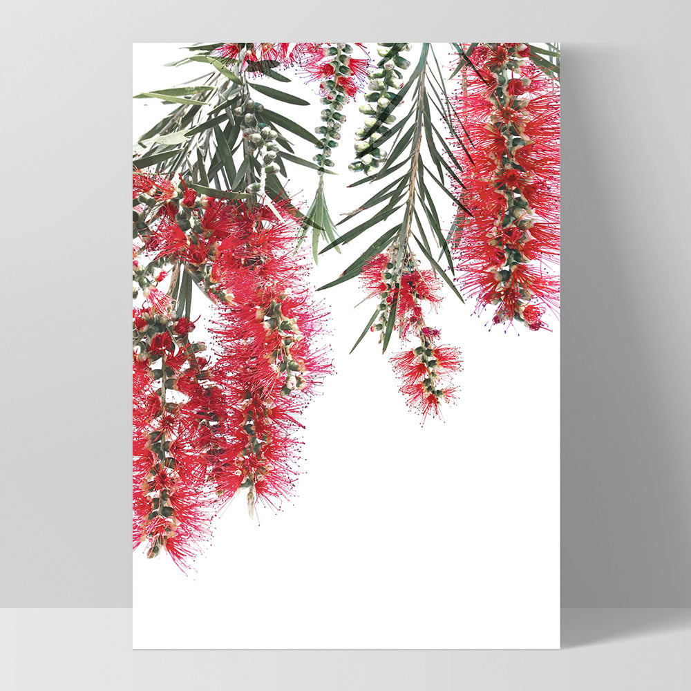 Bottle Brush Flowers II - Art Print, Poster, Stretched Canvas, or Framed Wall Art Print, shown as a stretched canvas or poster without a frame