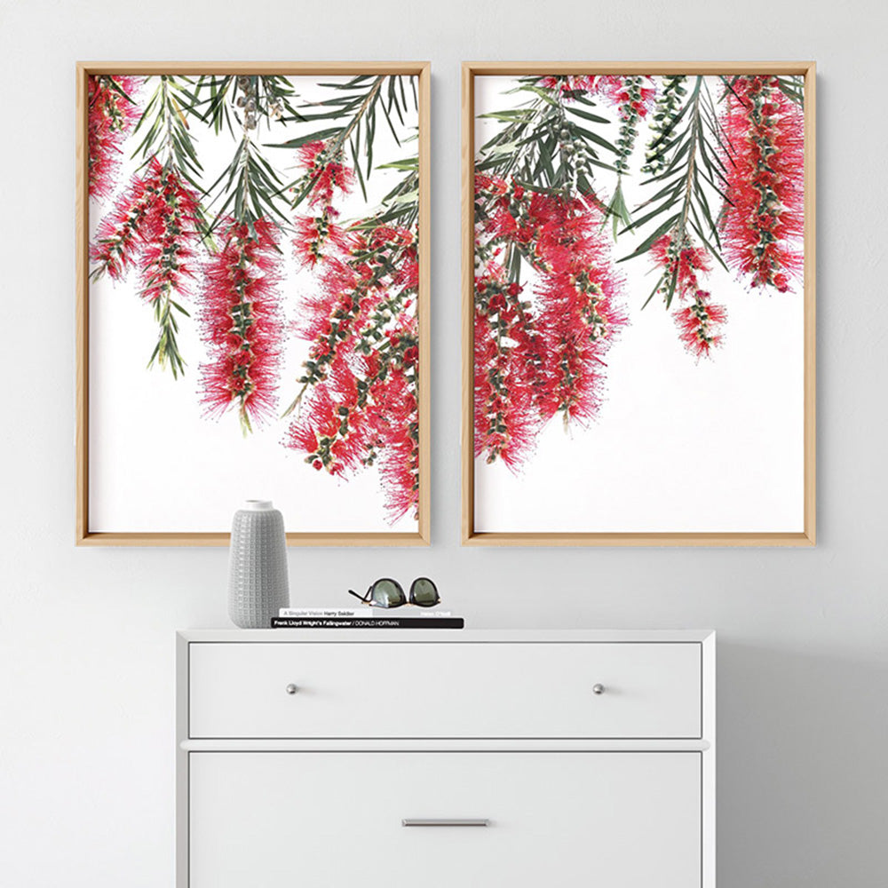 Bottle Brush Flowers II - Art Print, Poster, Stretched Canvas or Framed Wall Art, shown framed in a home interior space