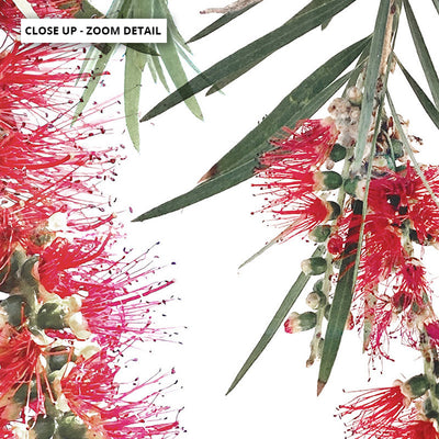 Bottle Brush Flowers II - Art Print, Poster, Stretched Canvas or Framed Wall Art, Close up View of Print Resolution