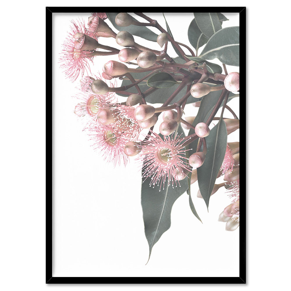 Flowering Eucalyptus Bunch I - Art Print, Poster, Stretched Canvas, or Framed Wall Art Print, shown in a black frame