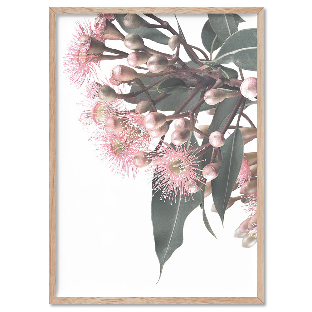 Flowering Eucalyptus Bunch I - Art Print, Poster, Stretched Canvas, or Framed Wall Art Print, shown in a natural timber frame