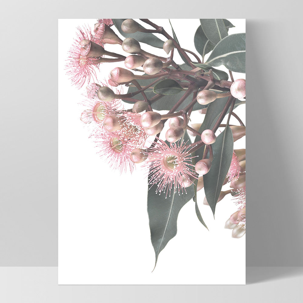 Flowering Eucalyptus Bunch I - Art Print, Poster, Stretched Canvas, or Framed Wall Art Print, shown as a stretched canvas or poster without a frame