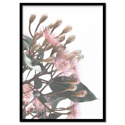 Flowering Eucalyptus Bunch II - Art Print, Poster, Stretched Canvas, or Framed Wall Art Print, shown in a black frame