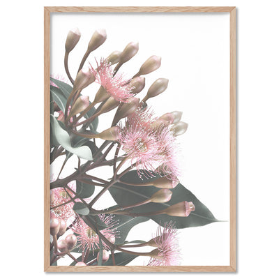 Flowering Eucalyptus Bunch II - Art Print, Poster, Stretched Canvas, or Framed Wall Art Print, shown in a natural timber frame