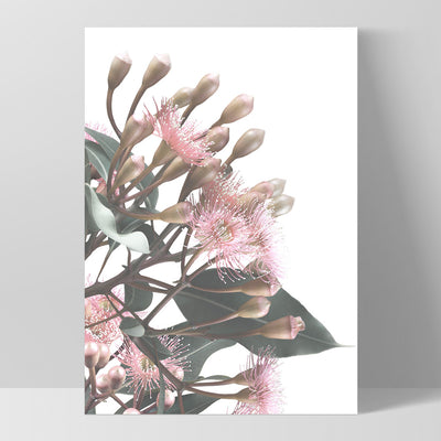 Flowering Eucalyptus Bunch II - Art Print, Poster, Stretched Canvas, or Framed Wall Art Print, shown as a stretched canvas or poster without a frame