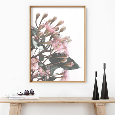 Flowering Eucalyptus Bunch II - Art Print, Poster, Stretched Canvas or Framed Wall Art Prints, shown framed in a room