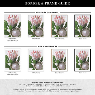 King Proteas in Soft Blush & White - Art Print, Poster, Stretched Canvas or Framed Wall Art, Showing White , Black, Natural Frame Colours, No Frame (Unframed) or Stretched Canvas, and With or Without White Borders