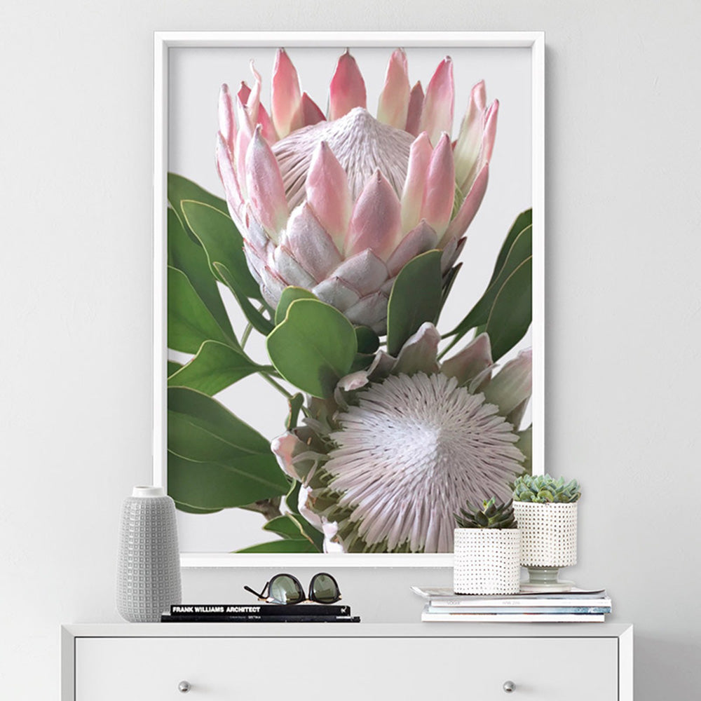 King Proteas in Soft Blush & White - Art Print, Poster, Stretched Canvas or Framed Wall Art Prints, shown framed in a room