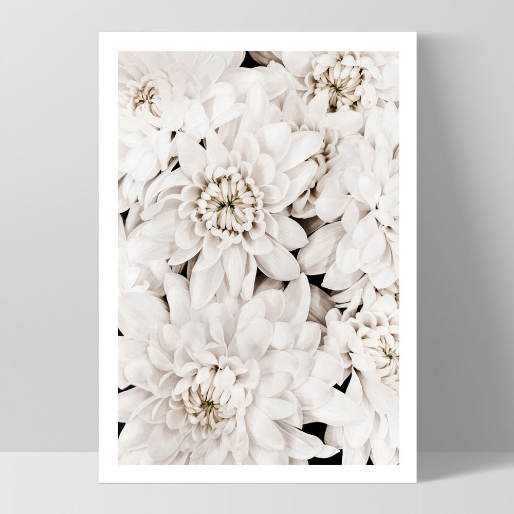 White Dahlias | Sea of Flowers - Art Print, Poster, Stretched Canvas, or Framed Wall Art Print, shown as a stretched canvas or poster without a frame