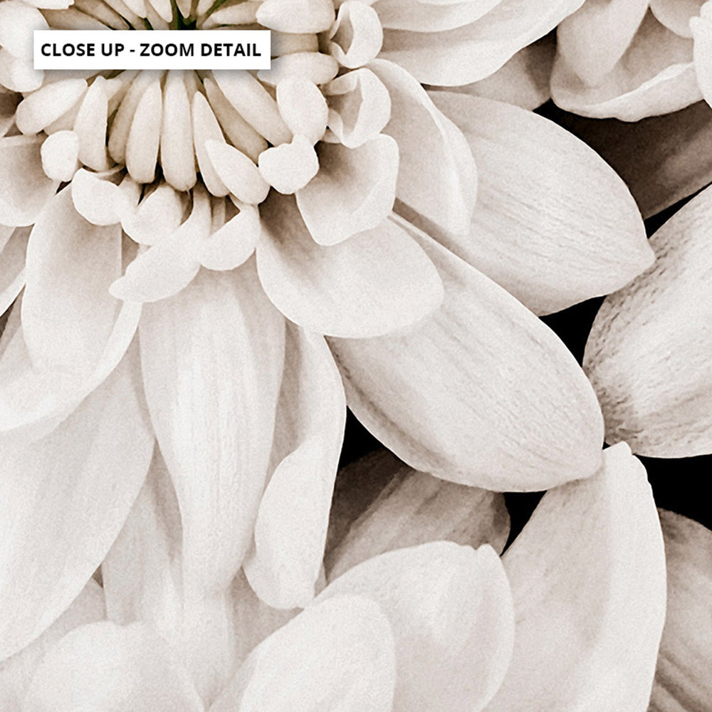 White Dahlias | Sea of Flowers - Art Print, Poster, Stretched Canvas or Framed Wall Art, Close up View of Print Resolution