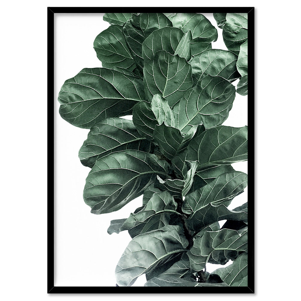Fiddle Leaf Fig Watercolour I - Art Print, Poster, Stretched Canvas, or Framed Wall Art Print, shown in a black frame