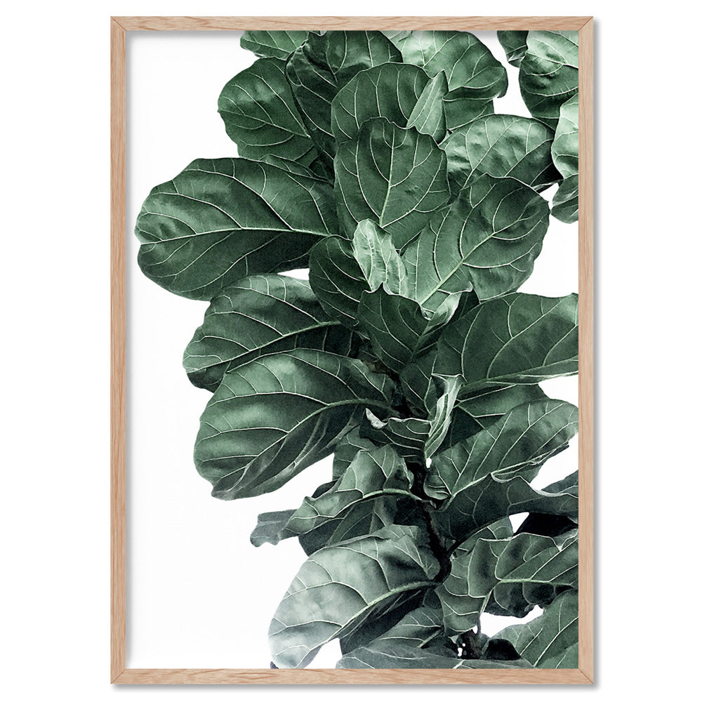 Fiddle Leaf Fig Watercolour I - Art Print, Poster, Stretched Canvas, or Framed Wall Art Print, shown in a natural timber frame