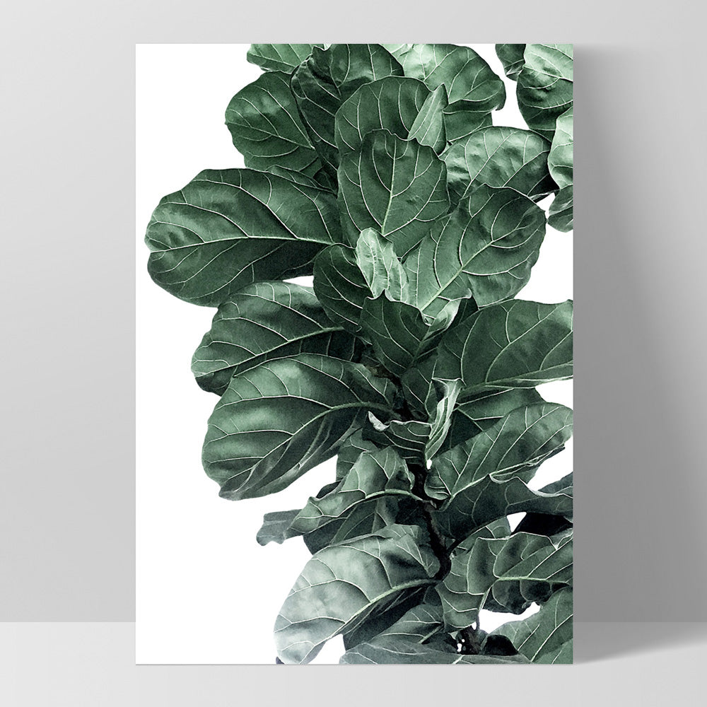 Fiddle Leaf Fig Watercolour I - Art Print, Poster, Stretched Canvas, or Framed Wall Art Print, shown as a stretched canvas or poster without a frame