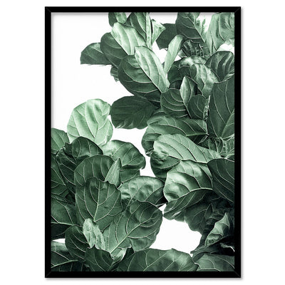 Fiddle Leaf Fig Watercolour II - Art Print, Poster, Stretched Canvas, or Framed Wall Art Print, shown in a black frame