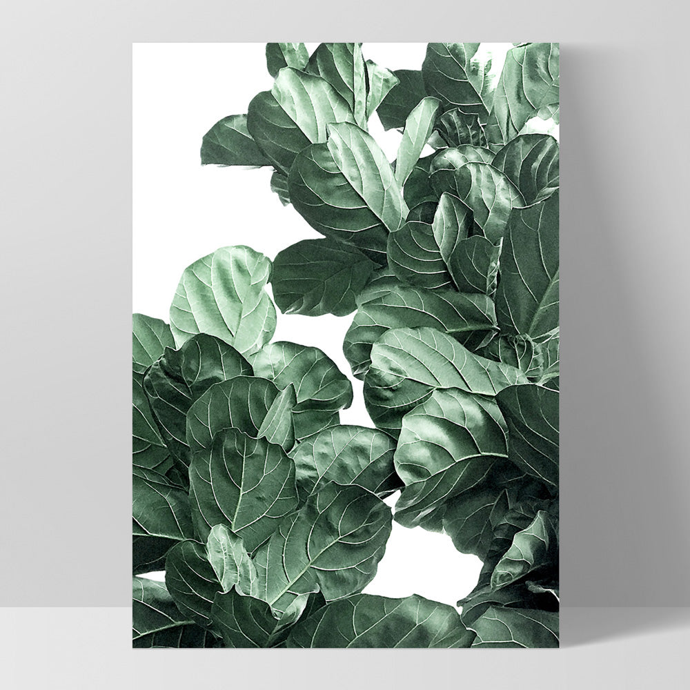 Fiddle Leaf Fig Watercolour II - Art Print, Poster, Stretched Canvas, or Framed Wall Art Print, shown as a stretched canvas or poster without a frame