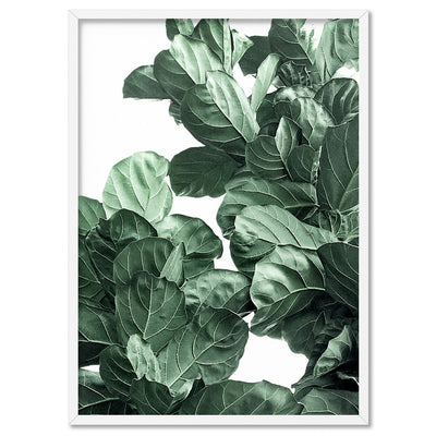 Fiddle Leaf Fig Watercolour II - Art Print, Poster, Stretched Canvas, or Framed Wall Art Print, shown in a white frame