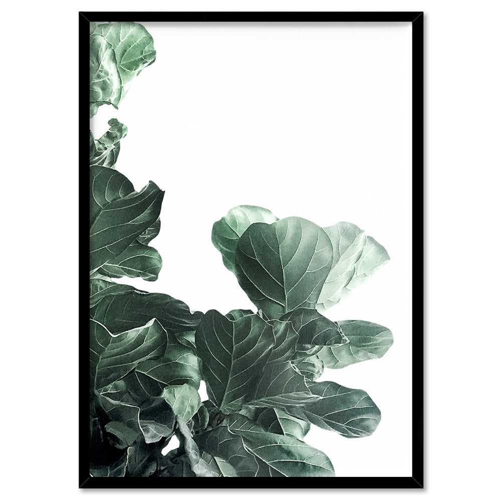 Fiddle Leaf Fig Watercolour III - Art Print, Poster, Stretched Canvas, or Framed Wall Art Print, shown in a black frame