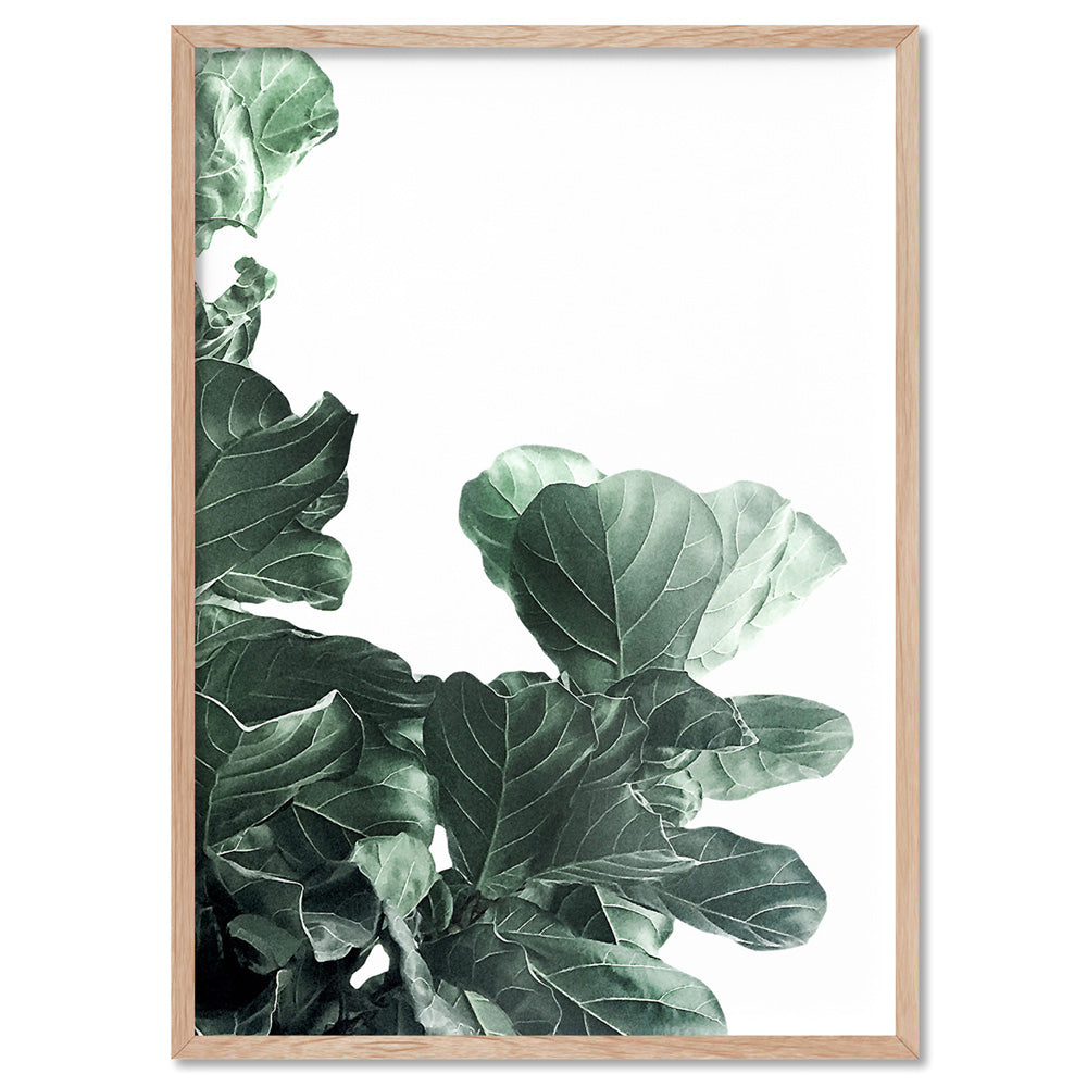 Fiddle Leaf Fig Watercolour III - Art Print, Poster, Stretched Canvas, or Framed Wall Art Print, shown in a natural timber frame